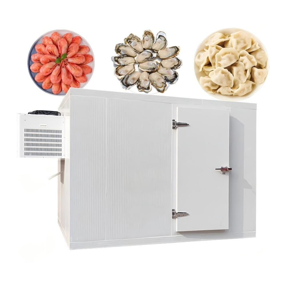 Ai Smart Temperature Adjustment Cooling System Freezer Cold Storage Room for Indoor Ice and Snow Parks
