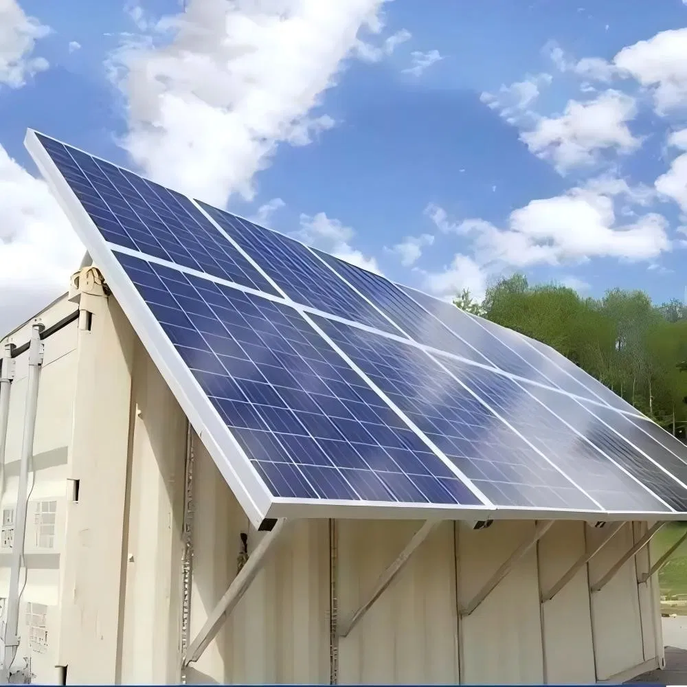 Energy-Saving & High Efficiency Solar Cold Storage Freezer Cold Storage Room for Meat Deep Freezing