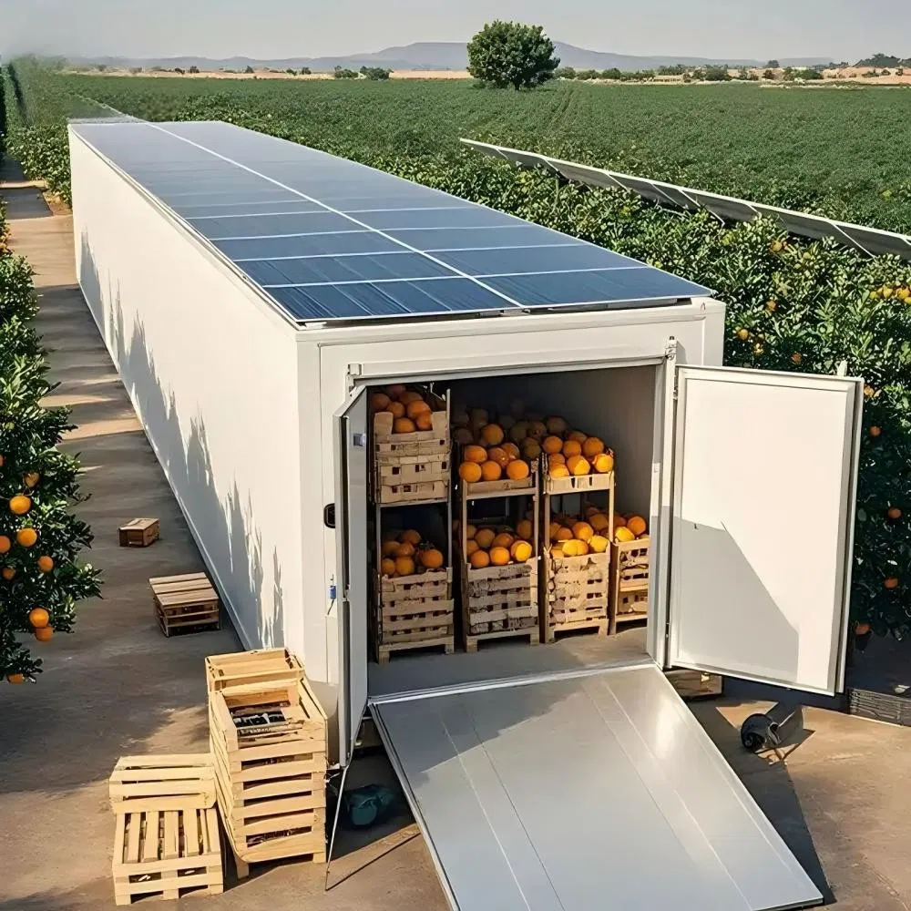 Smart Temperature Control Cold Storage Freezer Cold Storage Room for Meat and Poultry Chilling