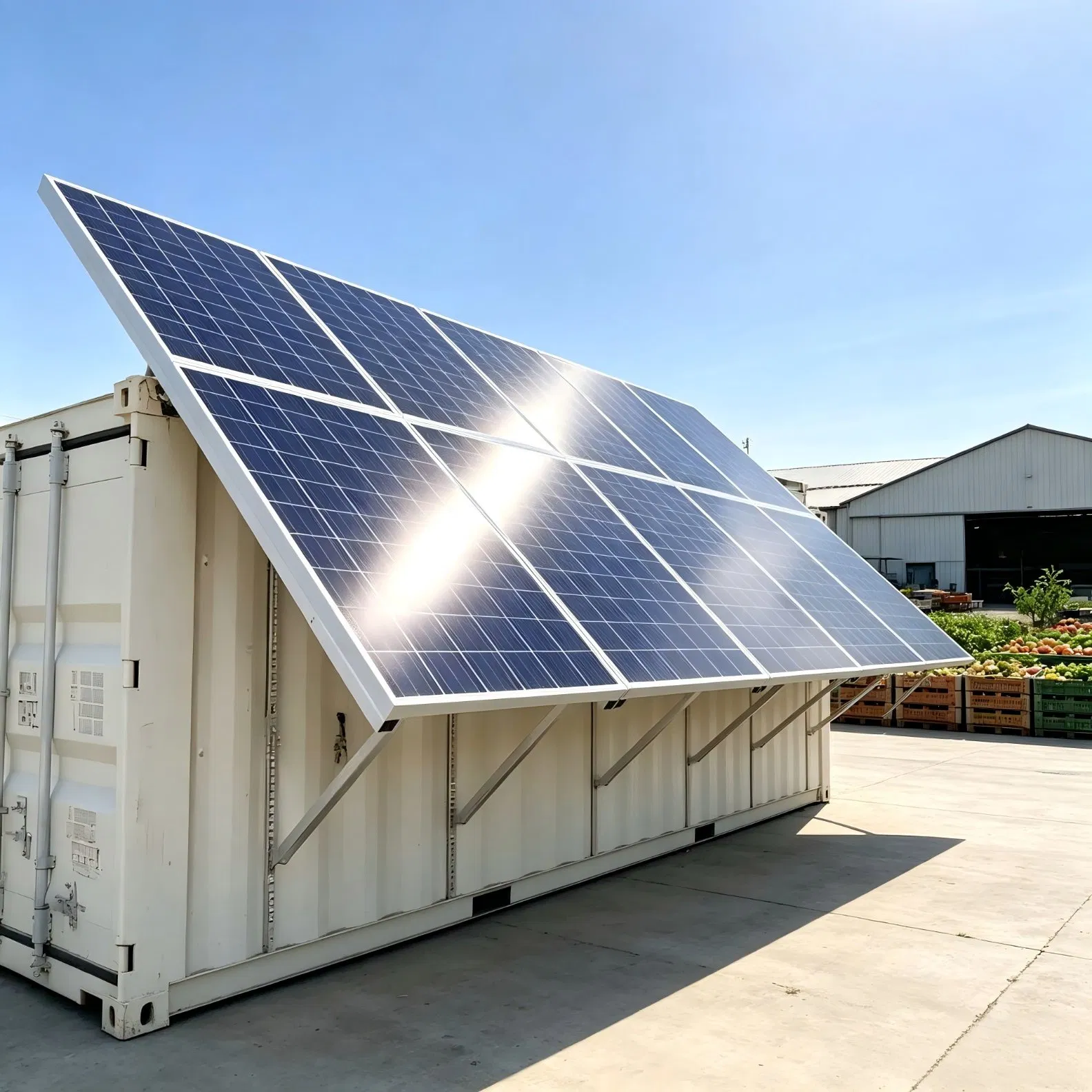 Customized on Demand Cold Storage Equipment Solar Freezer Room for Post-Harvest Pre-Cooling